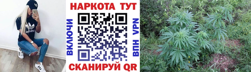 Где купить Калач-на-Дону APVP Кокаин Галлюциногенные грибы Мефедрон Каннабис ГАШИШ
