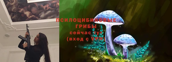 мяу мяу мука Алзамай