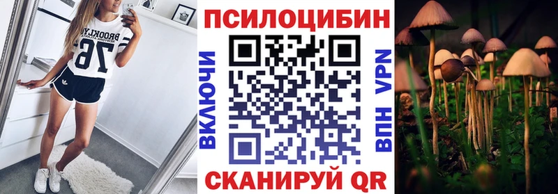 сколько стоит Калач-на-Дону Псилоцибиновые грибы MAGIC MUSHROOMS
