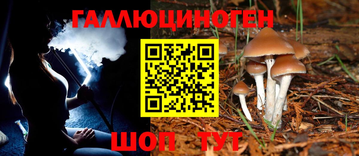 Галлюциногенные грибы GOLDEN TEACHER  Псилоцибиновые грибы мухоморы  Калач-на-Дону  Вход с VPN 