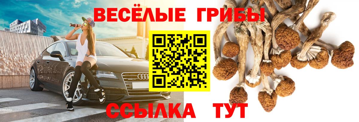 Псилоцибиновые грибы мухоморы Калач-на-Дону